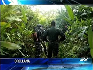 Descubren sembríos de coca en el Parque Nacional Yasuní