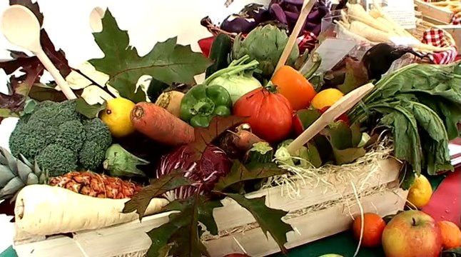 La Semaine du Goût à Vincennes, événement culinaire au verger du château rue du midi.
