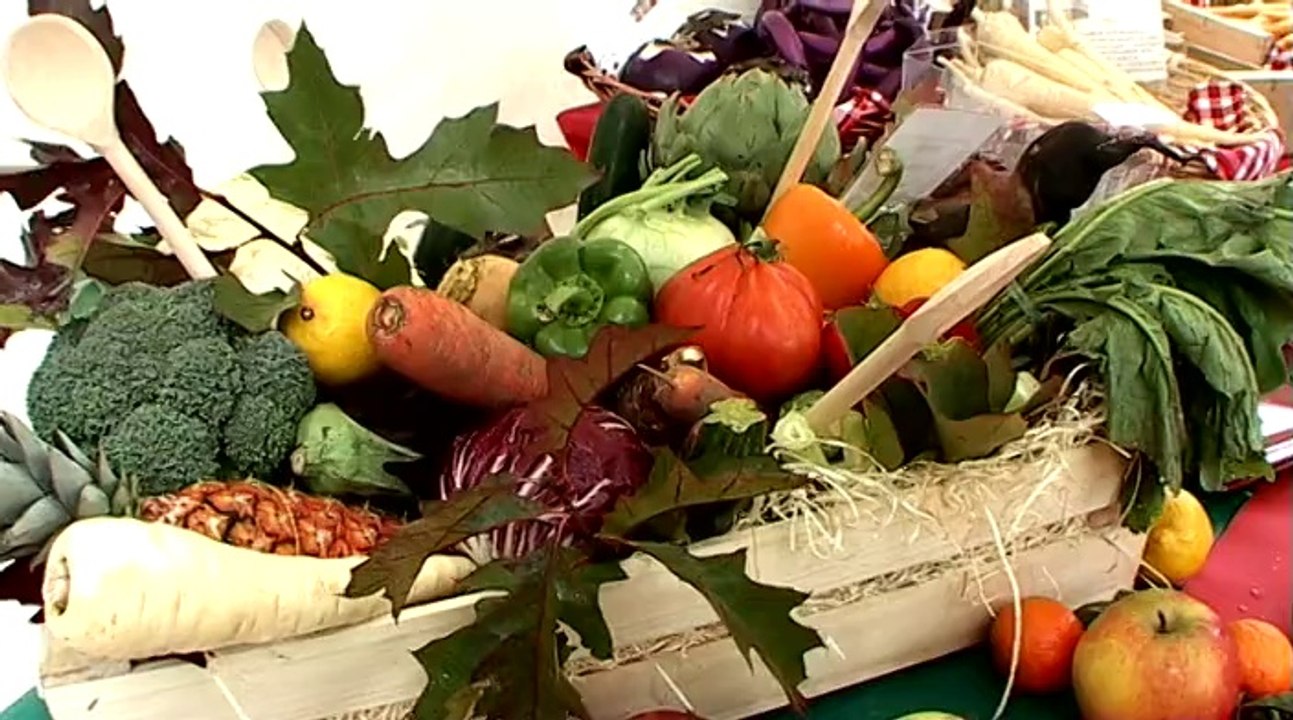 La Semaine du Goût à Vincennes, événement culinaire au verger du château rue du midi.