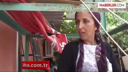 Evlerini Yılanlar Bastı