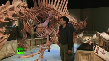 Meet Spinosaurus- 50-ft T-Rex killer, science-breaking combo of croc & bird