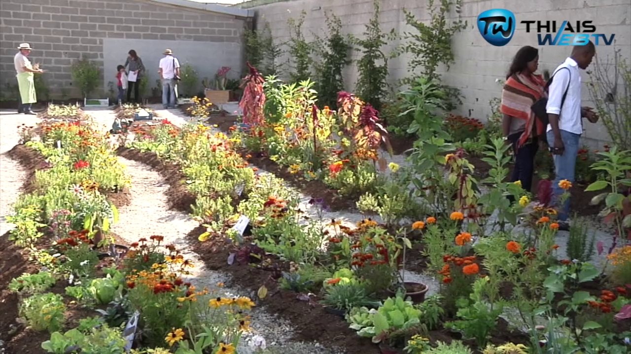 Jardinier Amateur de Thiais 2104