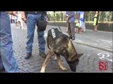 Napoli - Il cane poliziotto Karl (16.09.14)