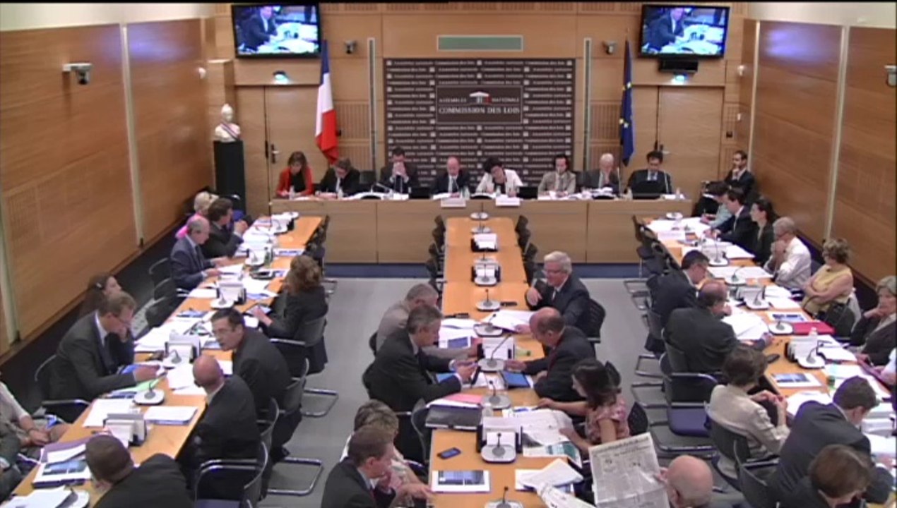 Intervention de Philippe Gosselin en Commission des Lois le 17 septembre 2014 sur le statut de l'animal