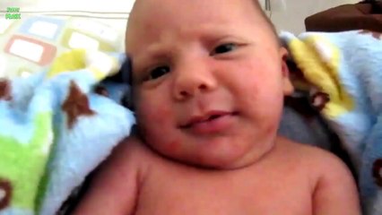 Babies Scared of Farts Compilation 2013 [HD]