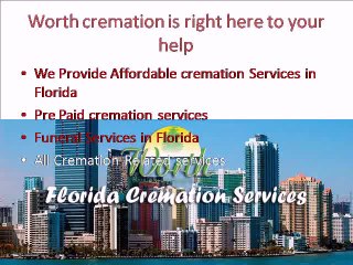 Cremation service of Florida