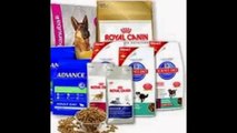 Cheapest Place To Buy Dog Food Online - Buy Dog Products @ moooou.com