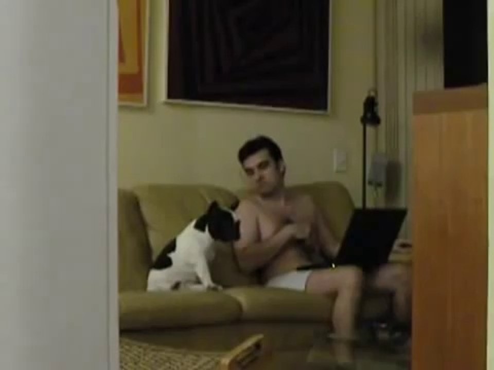 Cachorro dançando hip-hop no sofá -- Dog dancing hip-hop on the couch (ORIGINAL)