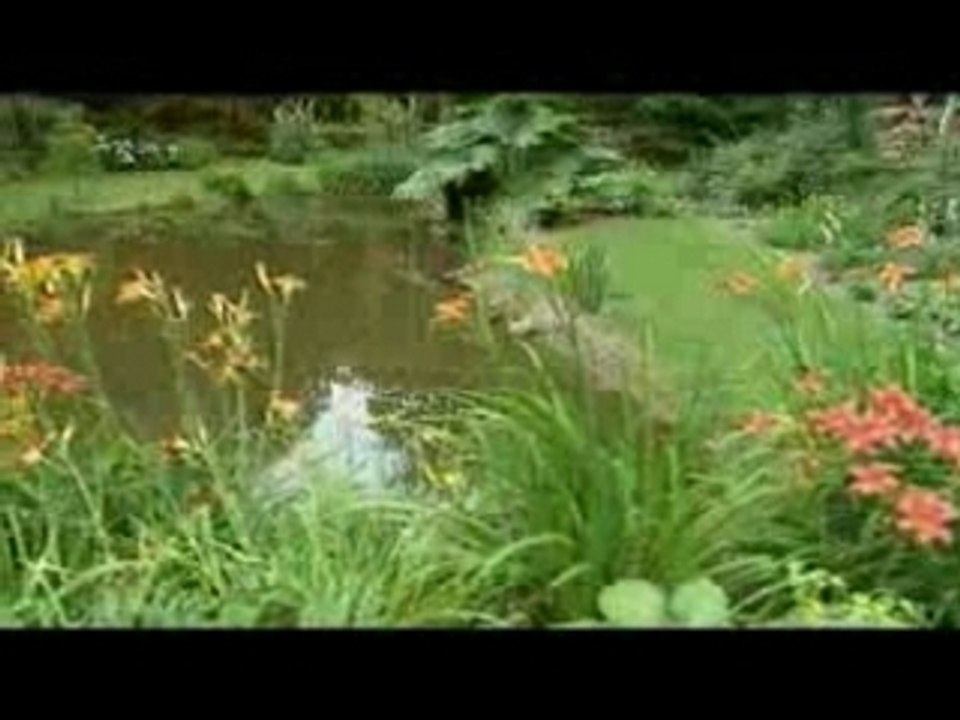 Puy du Fou - la Forêt du Puy du Fou