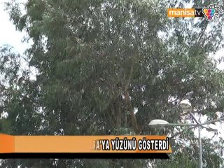 EYLÜL YAĞMURLARI MANİSAYA YÜZÜNÜ GÖSTERDİ