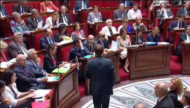 Rémi Delatte - Professions reglementées