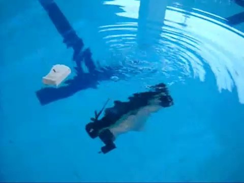 Wireless Remote Control Underwater Explorer