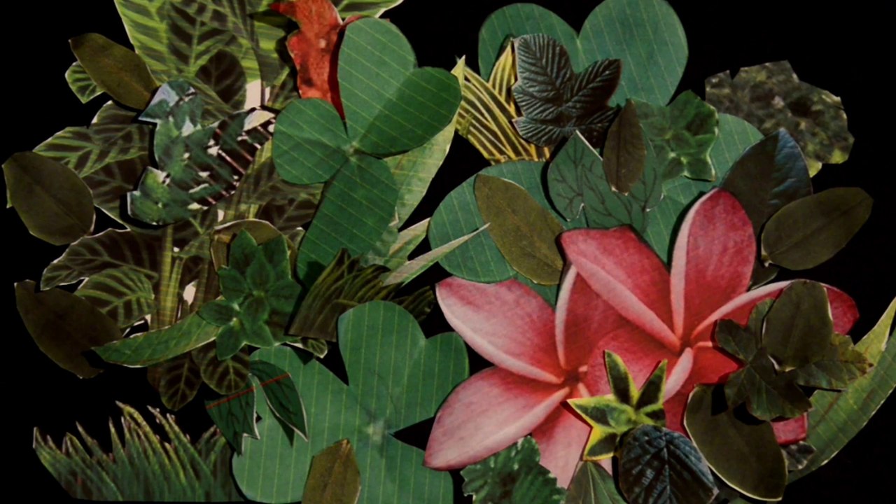 Peut-on accepter qu’Amy soit privée de son avenir ?