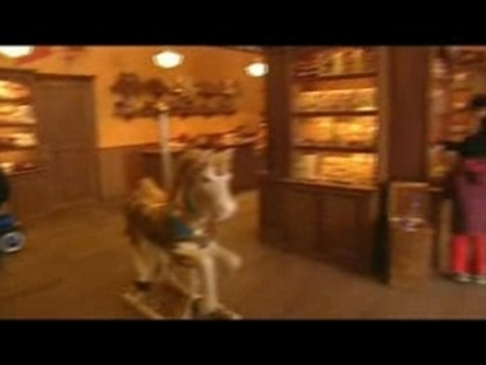 Puy du Fou - le Bourg 1900