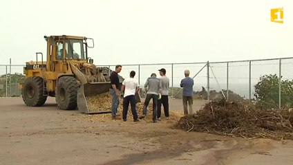 Déchets : compostage à grande échelle