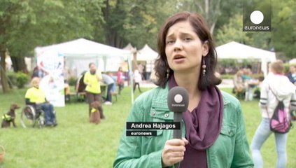 Hungarian police swoop on foreign NGOs