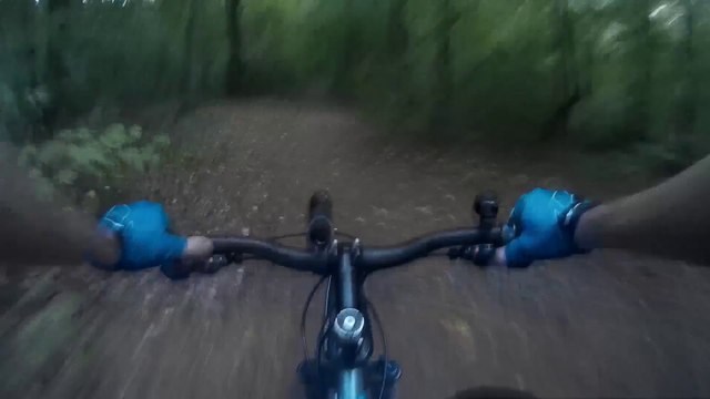 001 Rowerem przez las