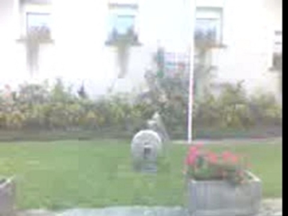 Video-0045