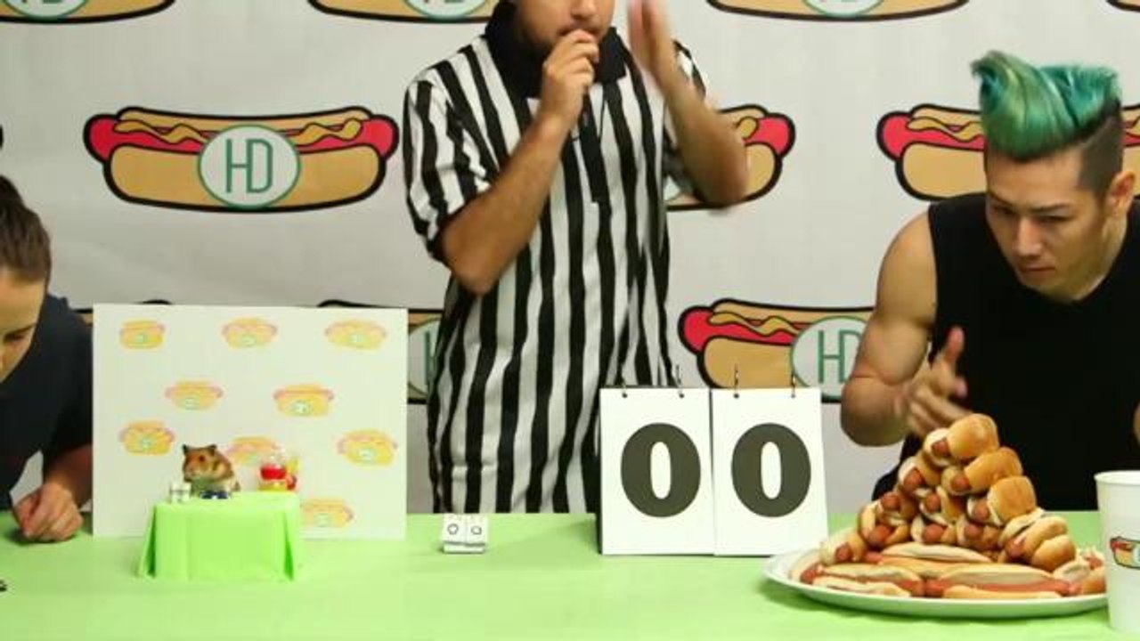 Tiny Hamster Takes on Competitive Hot Dog Eater...