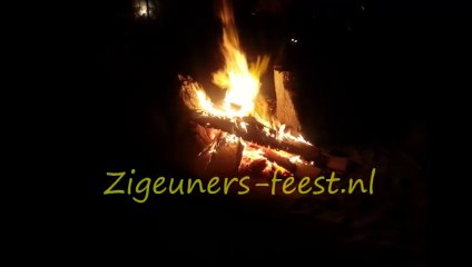 Zigeuners-themafeest.nl