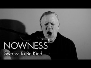 Swans in “To be Kind: A Short Film”