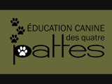 Comportement canin: Faut-il vraiment promener son chien à chaque jour?