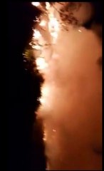 Chorei com esse vídeo.