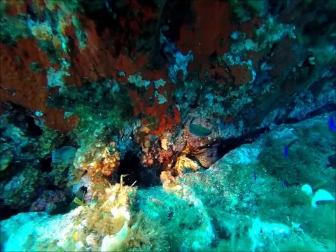 Esterel Plongée à l'UCPA Giens