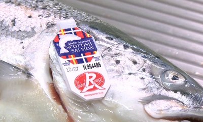 VIVE L’ECO N°36 - La Saumonerie Granvillaise, avec Rodolphe Belghazi