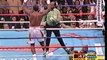 LENNOX LEWIS BOXING FIGHT VIDEO