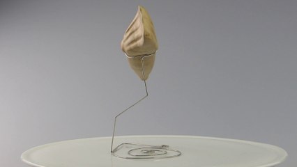 Inzisivi brevis - ars longa