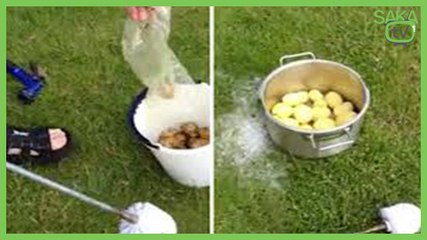 En Hızlı Patates Soyma