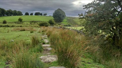 Nature sounds - Sounds from the Heather moorland