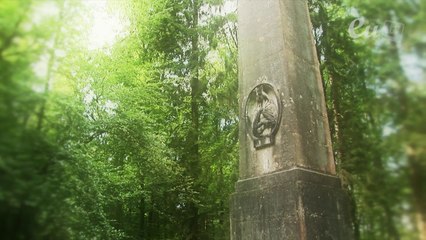 Le Château & son domaine : regards sur la forêt d'Eu (version longue)