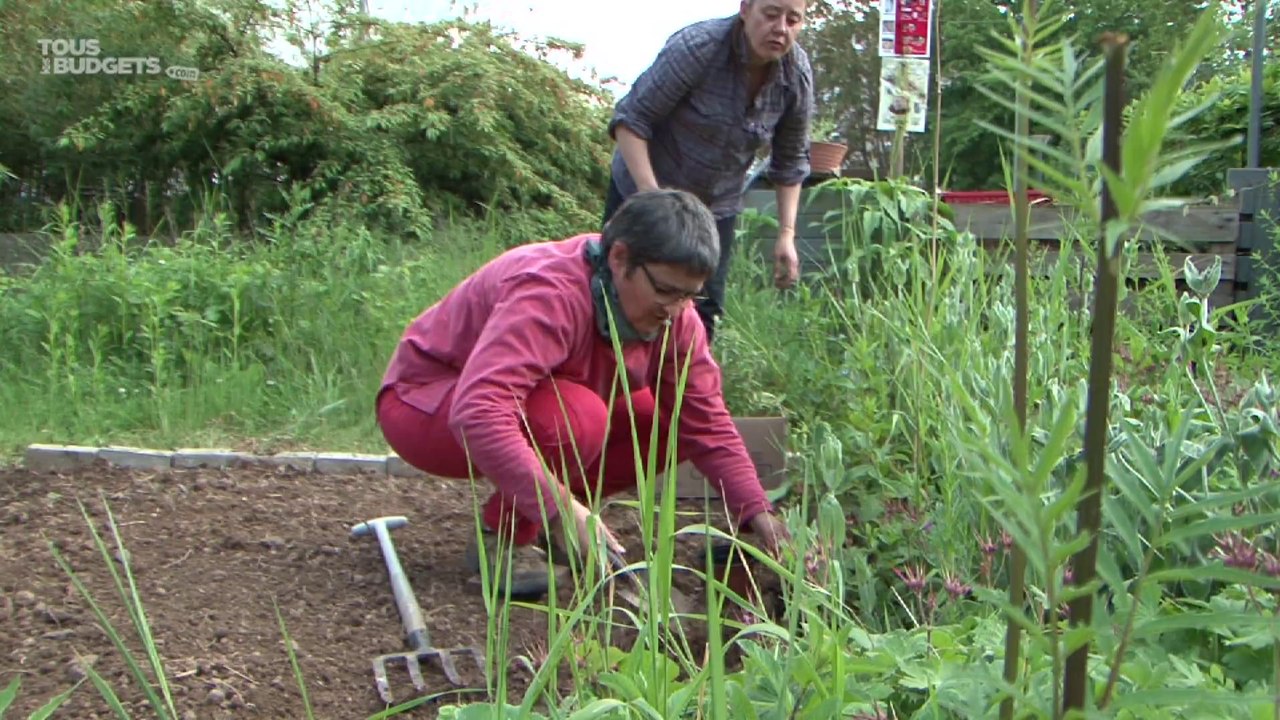 Des solutions multiples pour jardiner en ville