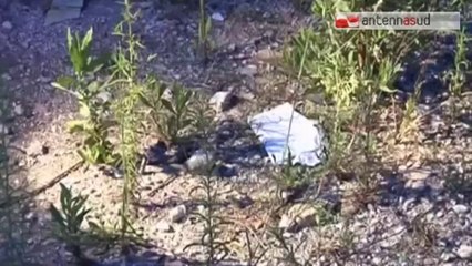 TGSRV17set_ferito_pregiudicato_al_san_paolo.mp4 TG 17.09.14