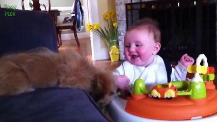 下载视频: So cute Puppies and Babies Playing Together - adorable Compilation 2014