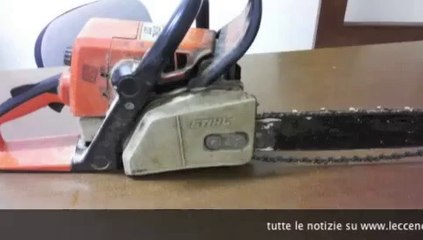 A Nardò strage di ulivi ma la causa non è la Xylella