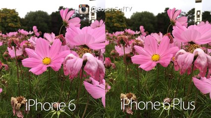 iPhone 6 vs 6 Plus - Camera Test Comparison