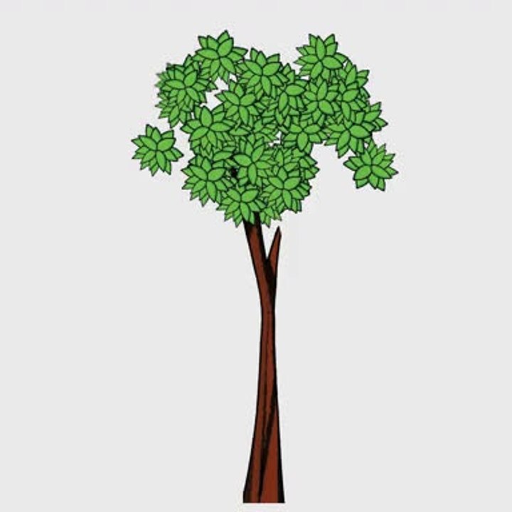 trees
