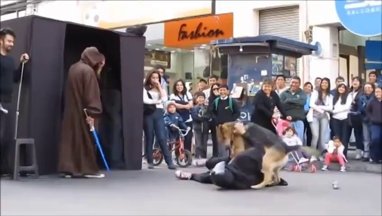 Best Funny Video New Compilation 2014 Animals, Babies, Accidents, Fails, Russia, Stupid, People, V(8)