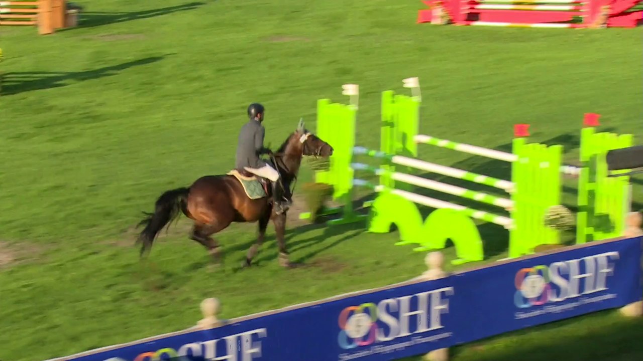 Veryquikstar de Bavoz  Grande semaine de Fontainebleau 2014, jument de 5 ans par Quick Star et Hottonie par Rox de La Touche