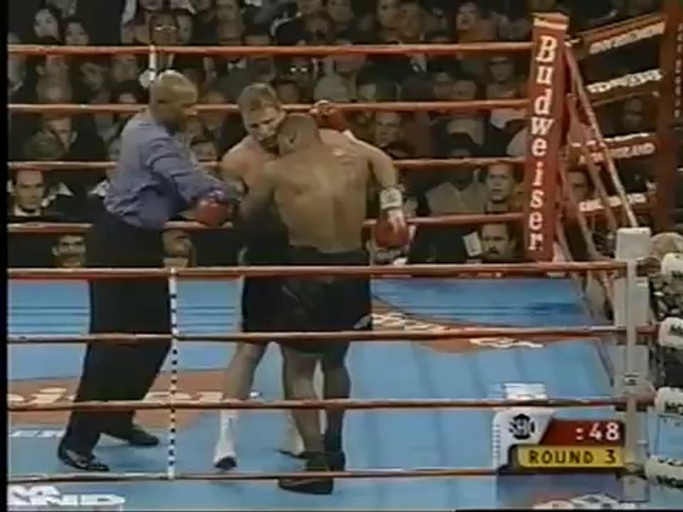 Mike Tyson VS Francois Botha (MGM Grand Garden Arena in Paradise, Nevada, 1999-01-16)