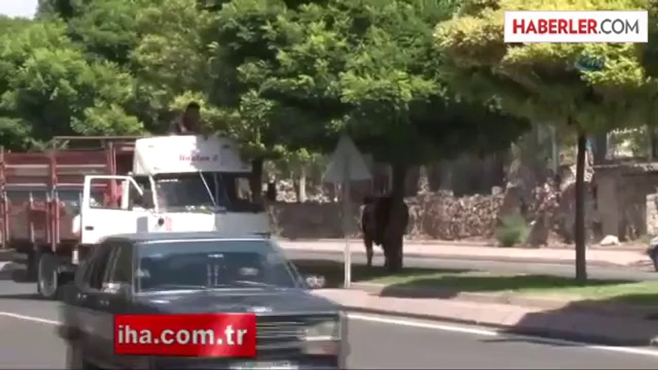 Bunu Yapan İnsan Olamaz