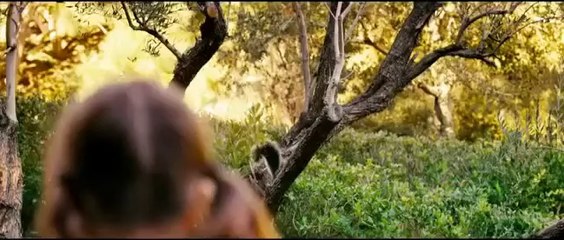 The Killer Squirrel Movie You Have Always Wanted - Funny Animals