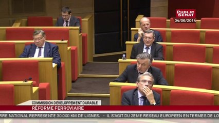 Commission développement durable sur la réforme ferroviaire