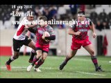 watch Golden Lions vs Pumas live rugby