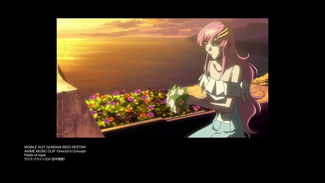 Fields of Hope Anime Music Clip Director's Concept