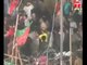 PTI workers fight in Dharna, islamabad
