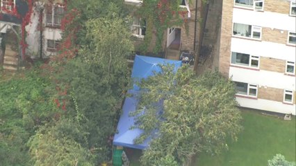 Forensic search during Alice Gross investigation